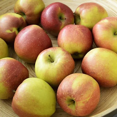 Gaestehaus Hunziker Pensión 3*